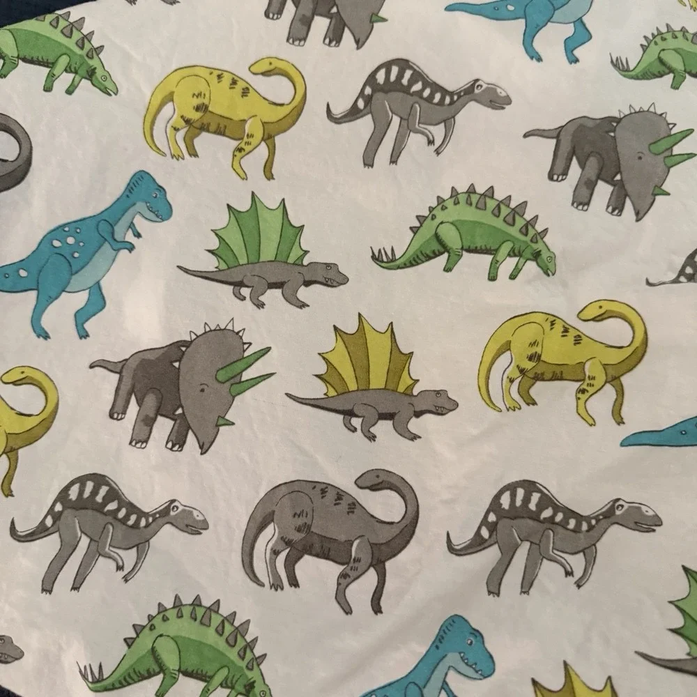 Pottery Barn Kids Dinosaur Twin Sheet Set 3 PCS Green Blue Gray 2015 Dinosaurs